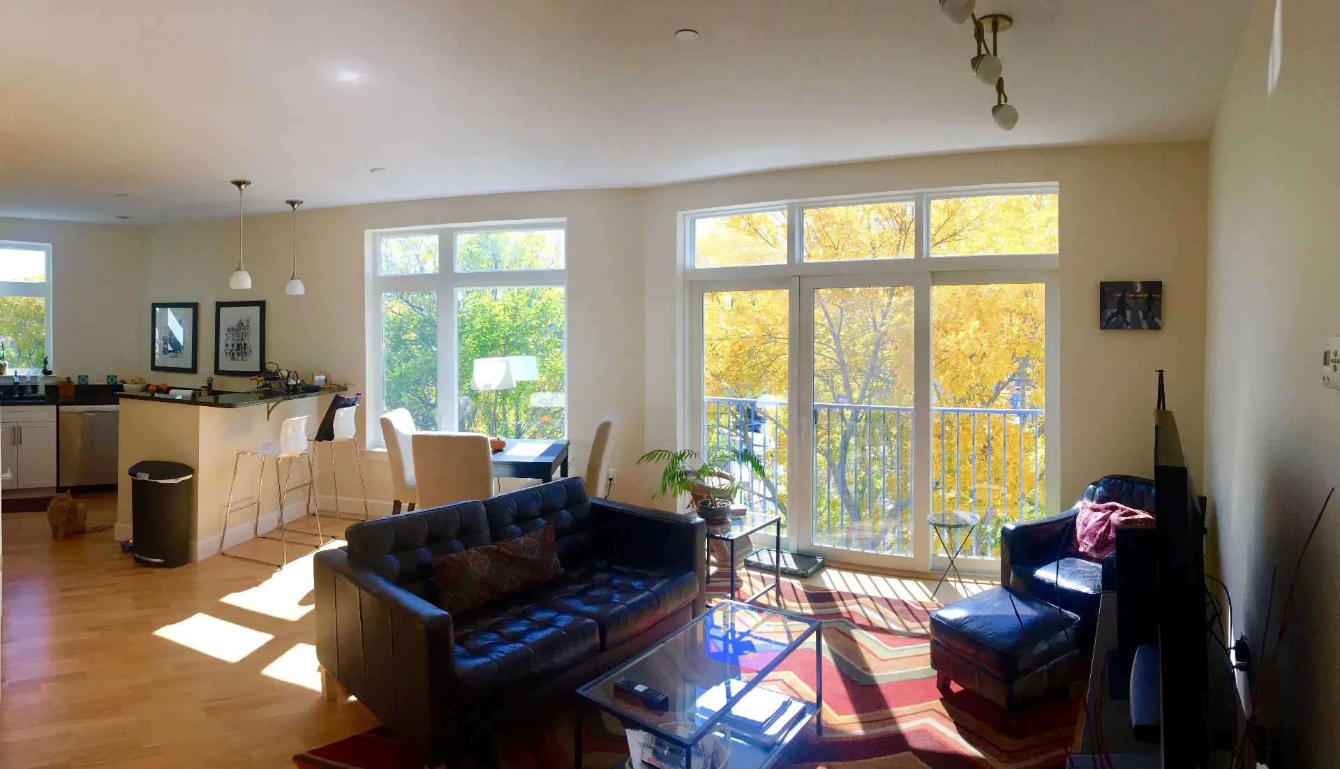 7 Cameron Ave, North Cambridge