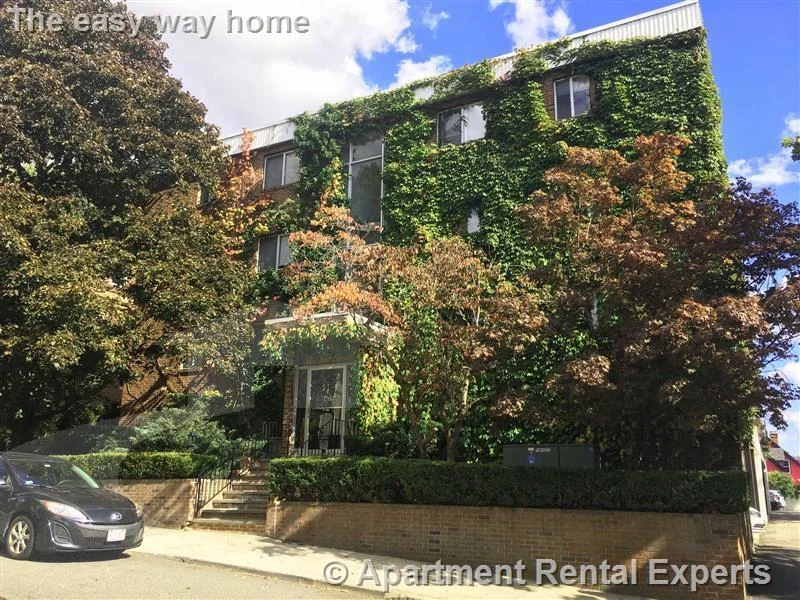 41 Belmont St, Porter Square
