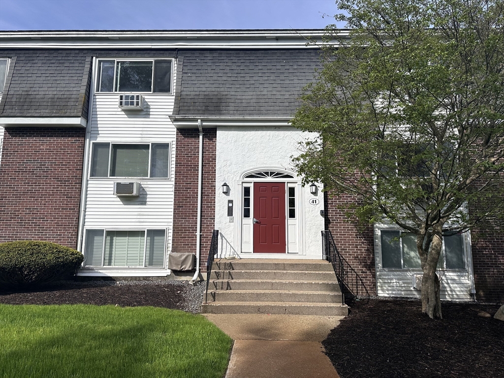 41 Will, Canton Junction