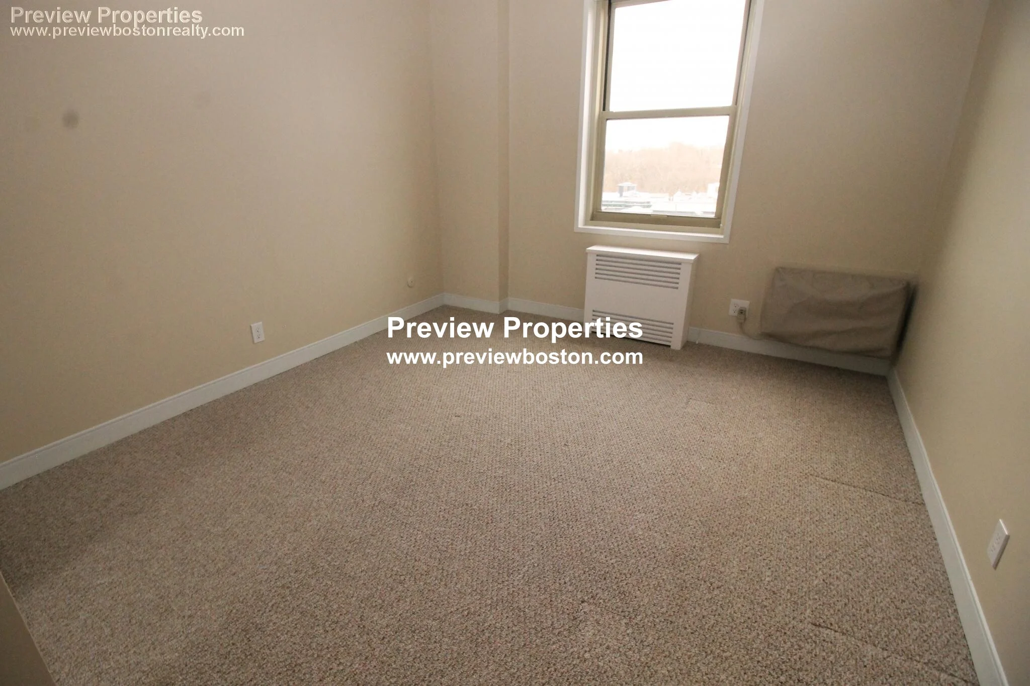 11 Camelot Ct, Brighton