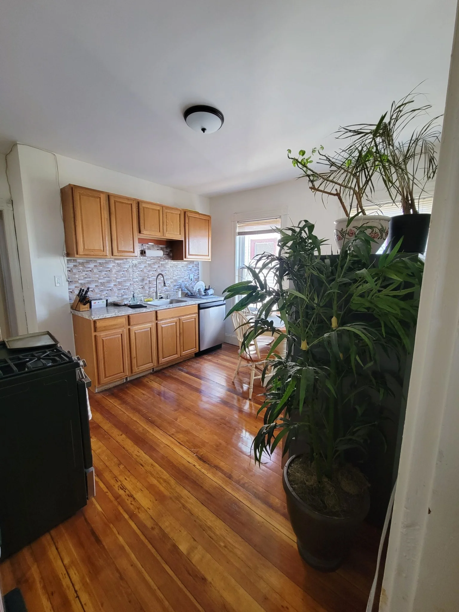 32 Juliette St, Dorchester