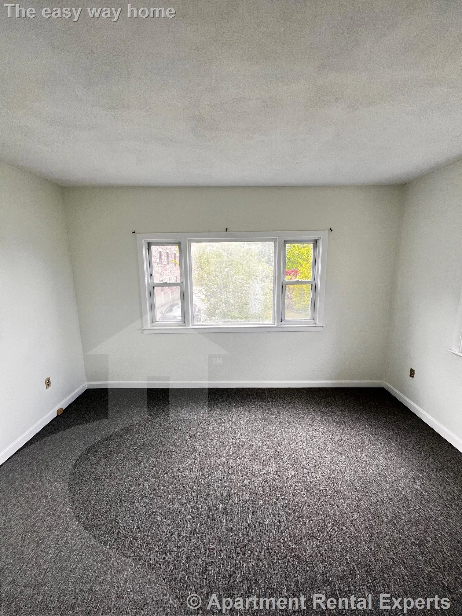 16 Braemore Rd, Winter Hill
