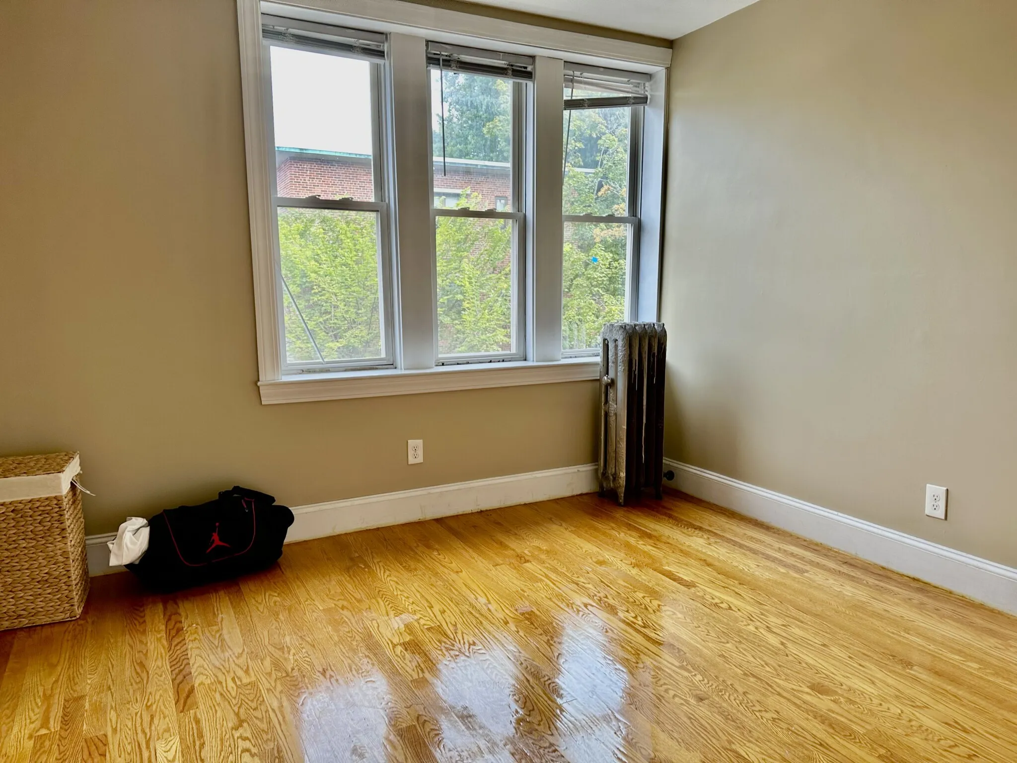 66 Egmont St, North Brookline