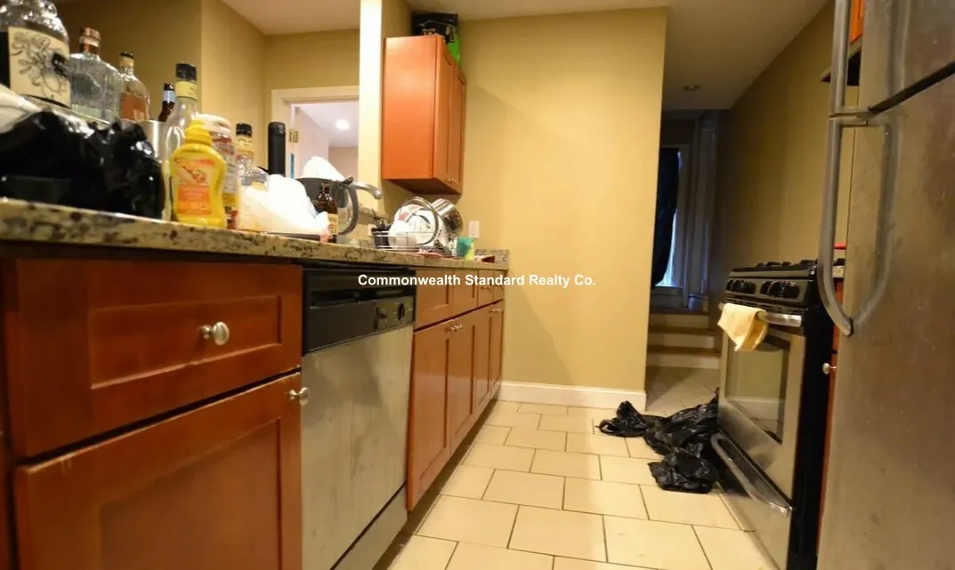 60 Egmont St, North Brookline