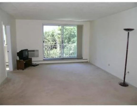 123 Sewall Ave, Coolidge Corner