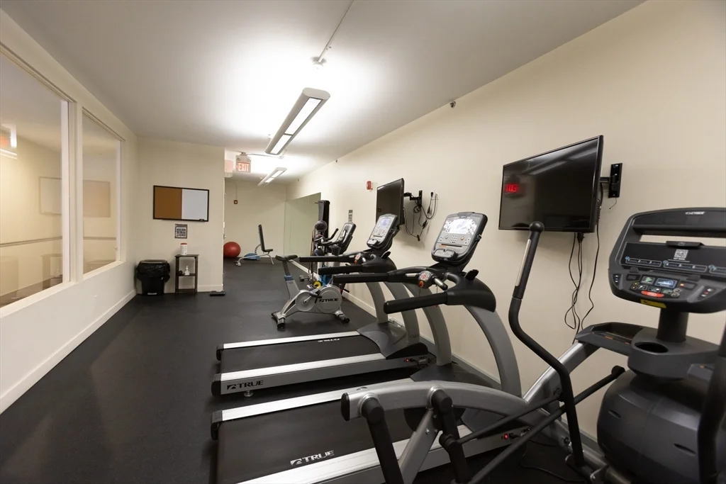 57 Cooper St, North End