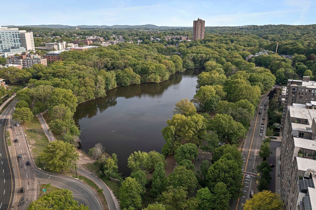 44 Washington St, Brookline Village