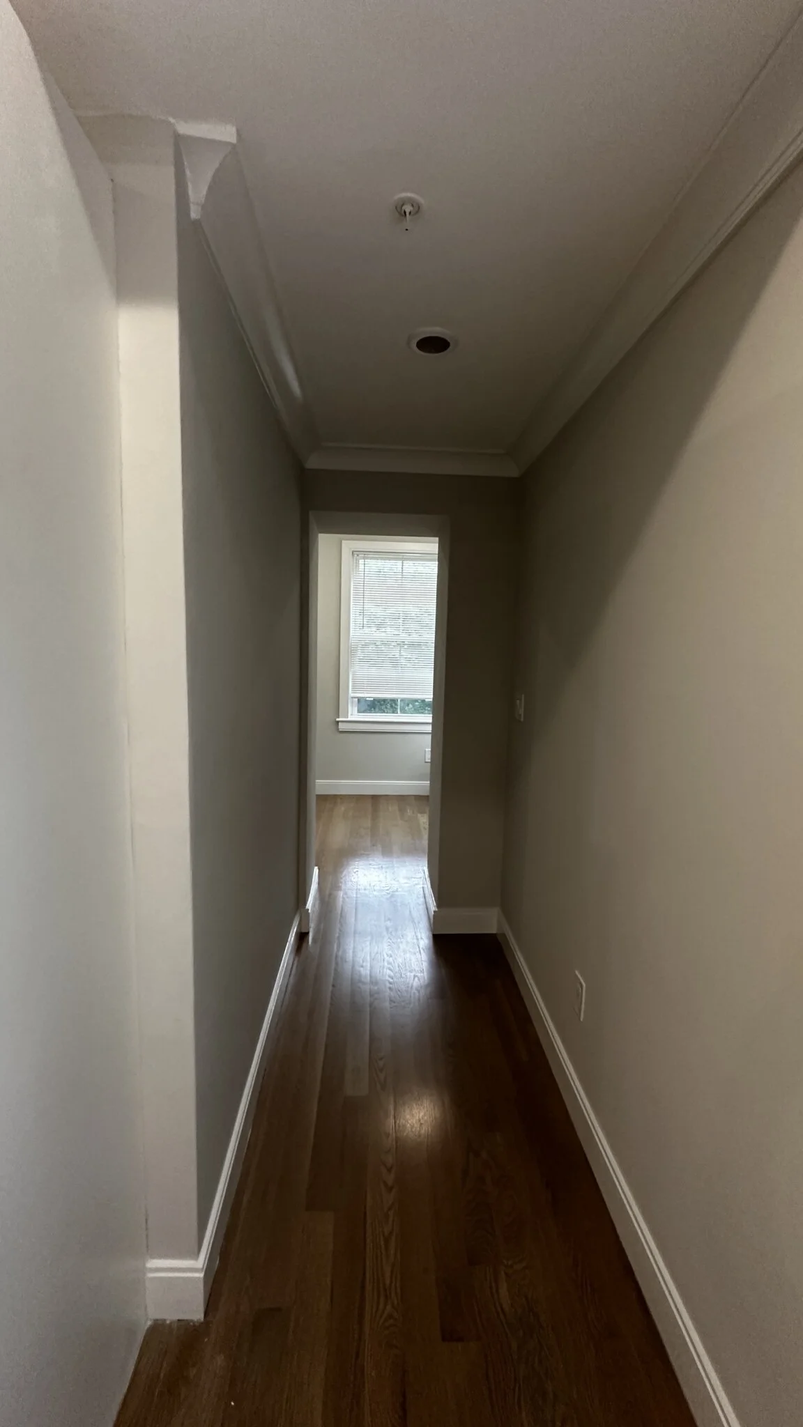 47 Englewood St, Brighton