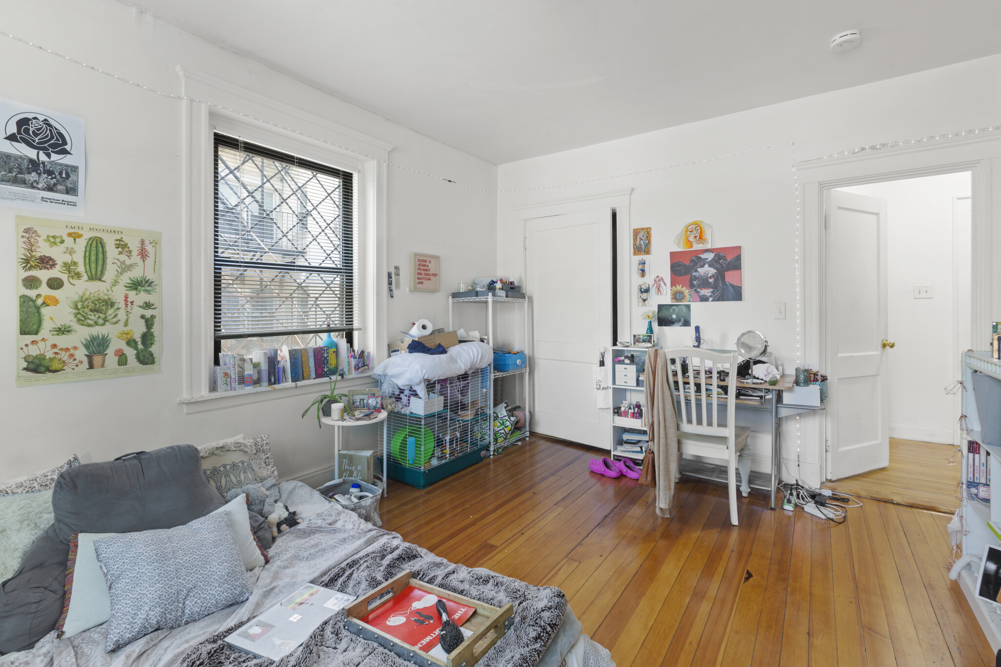 1462 Commonwealth, Brighton