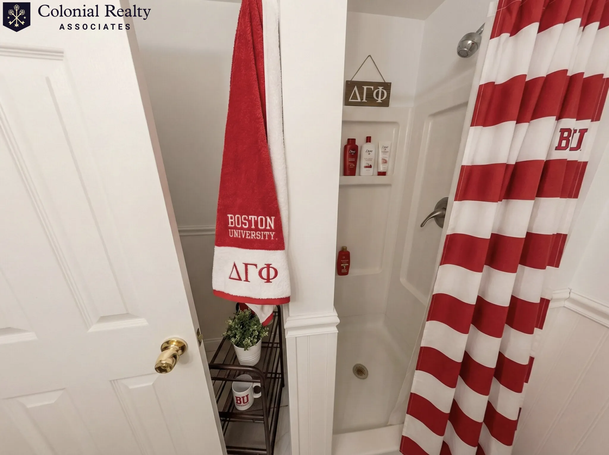 56 Egmont St, North Brookline