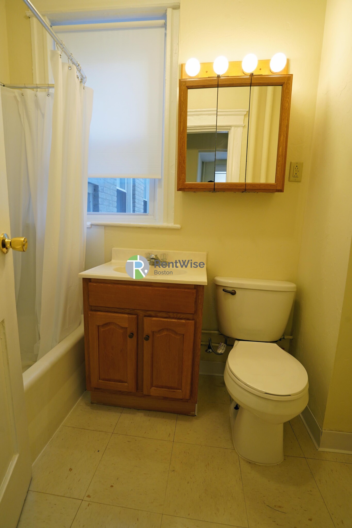 217 Kelton St, Brighton