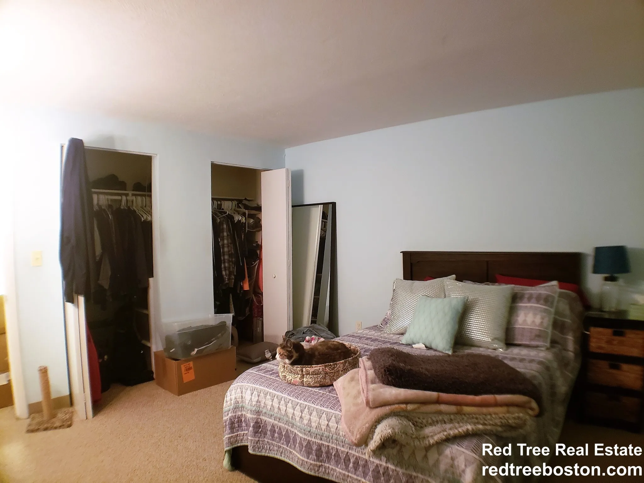 122 Dustin St, Brighton