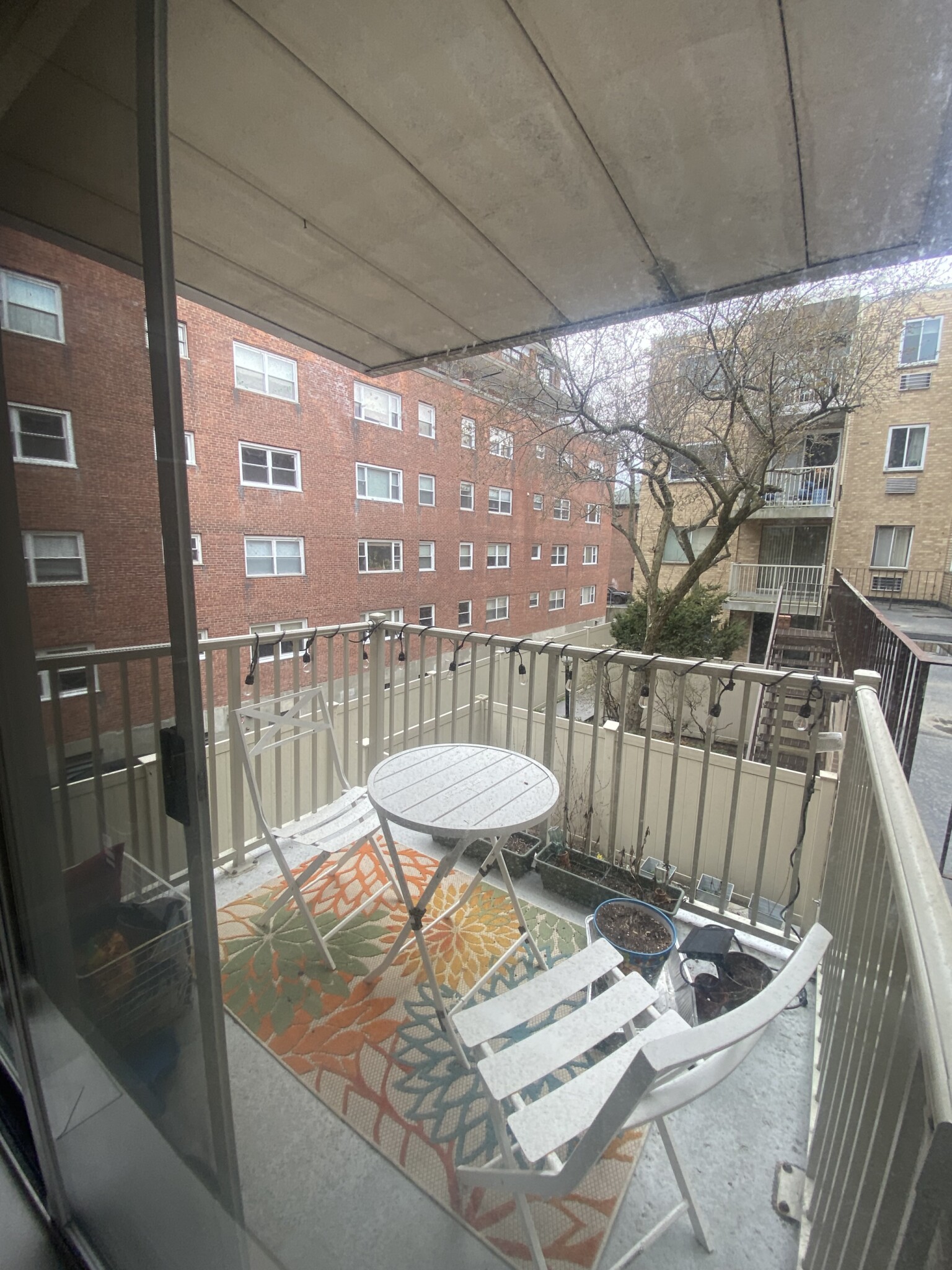 123 Sewall Ave, Coolidge Corner