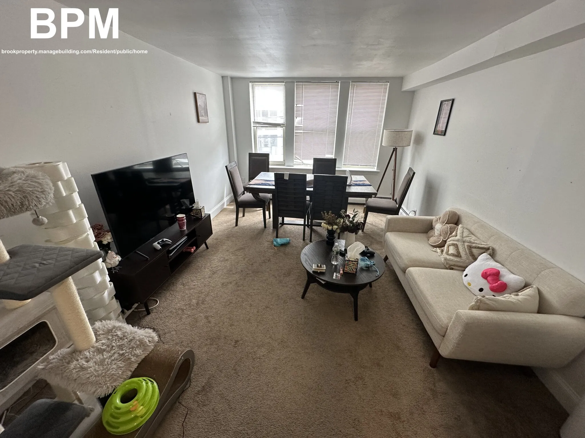 20 Colborne Rd, Brighton