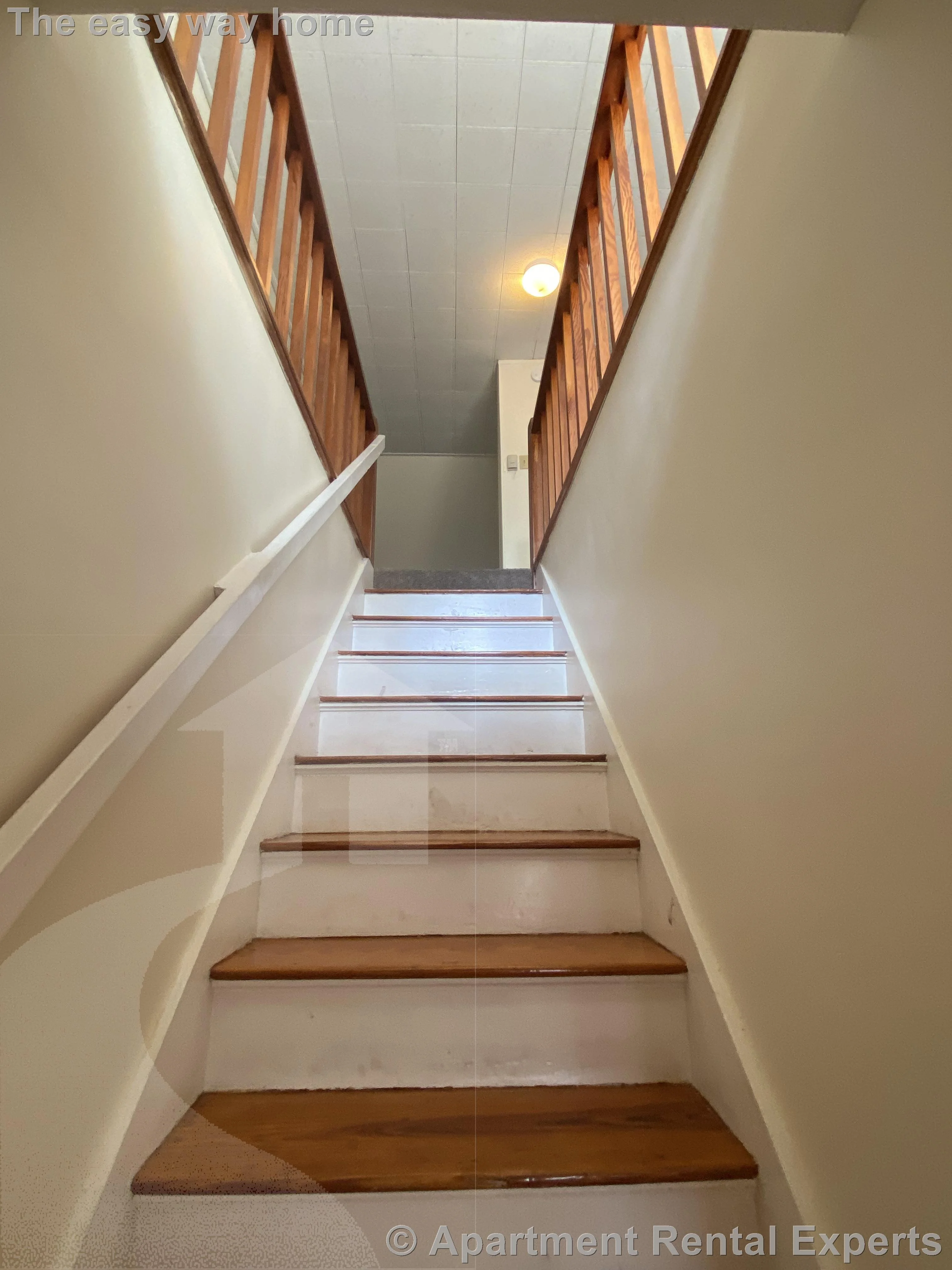 42 Wilson Ave, Waverly