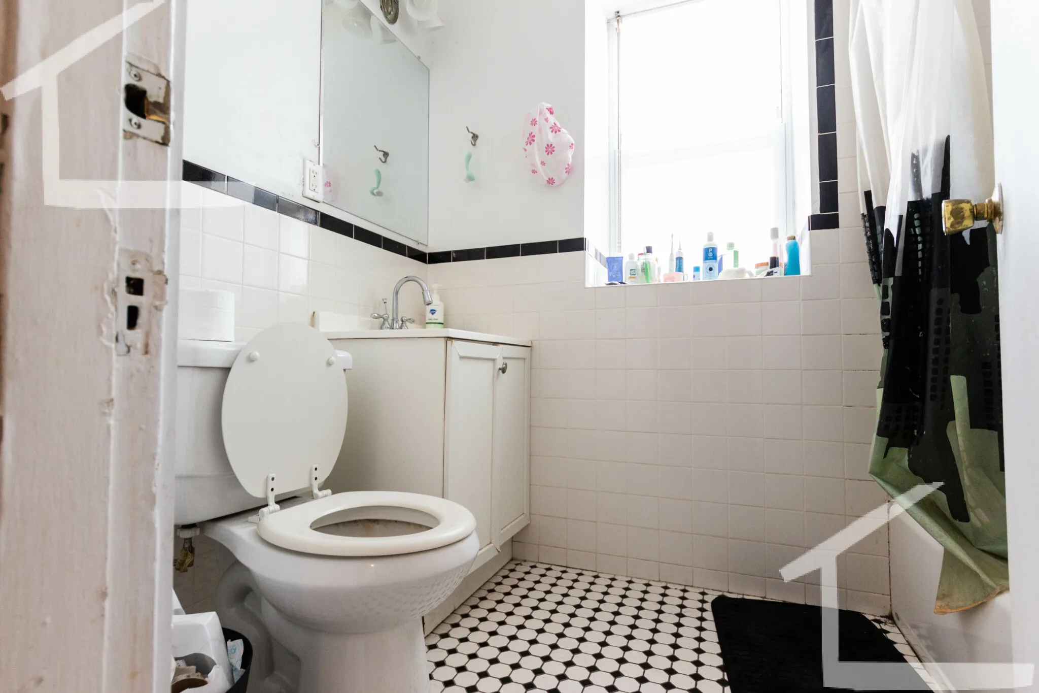 48 Brighton Ave, Brighton