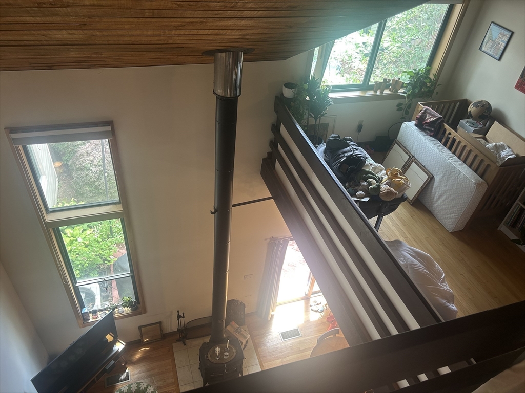 11 Lilac, Wellington-Harrington