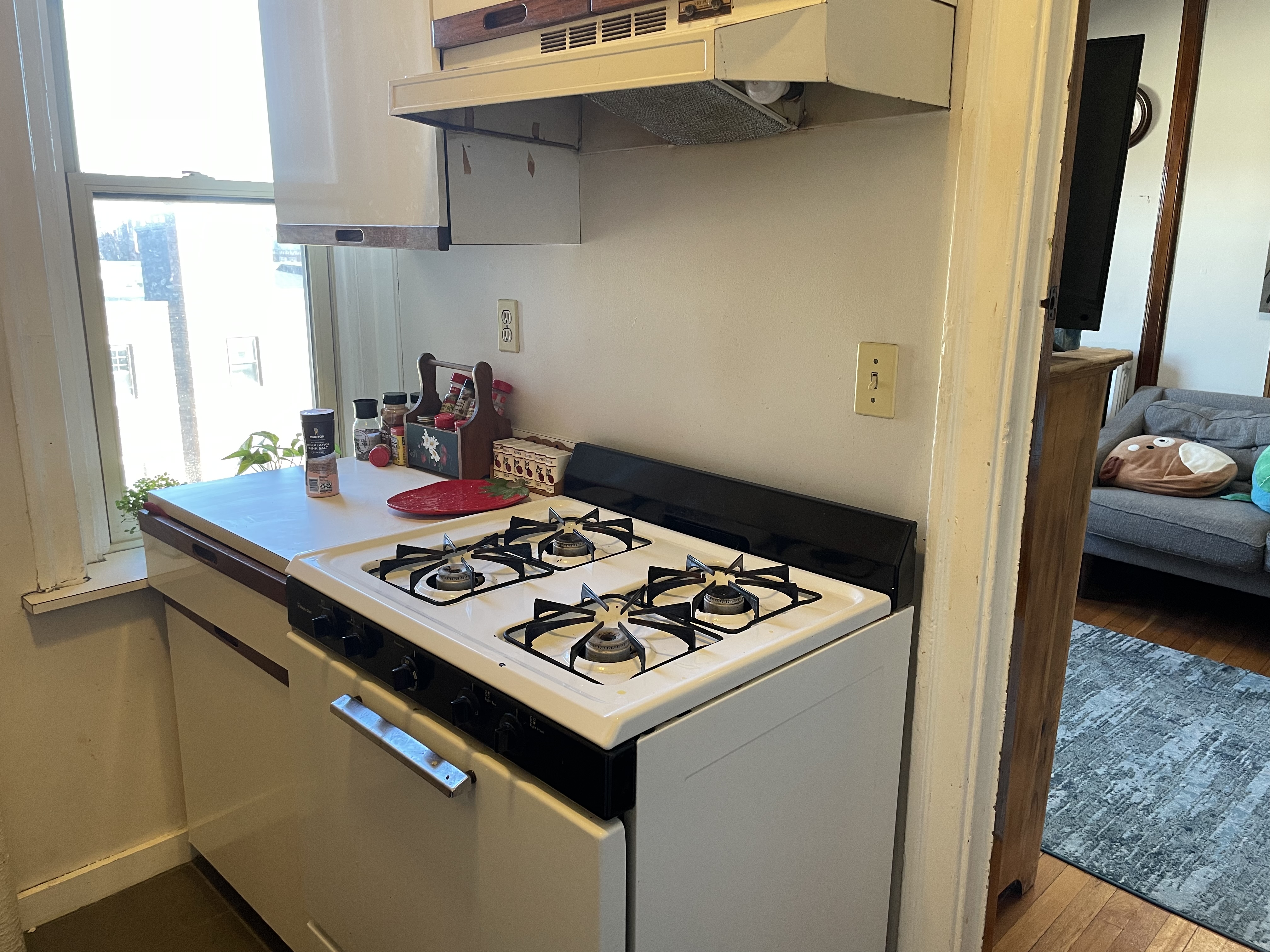 2 bed, 1 bath apartment for rent at 1255 Commonwealth Ave Unit 8, Brighton — photo 7 of 8