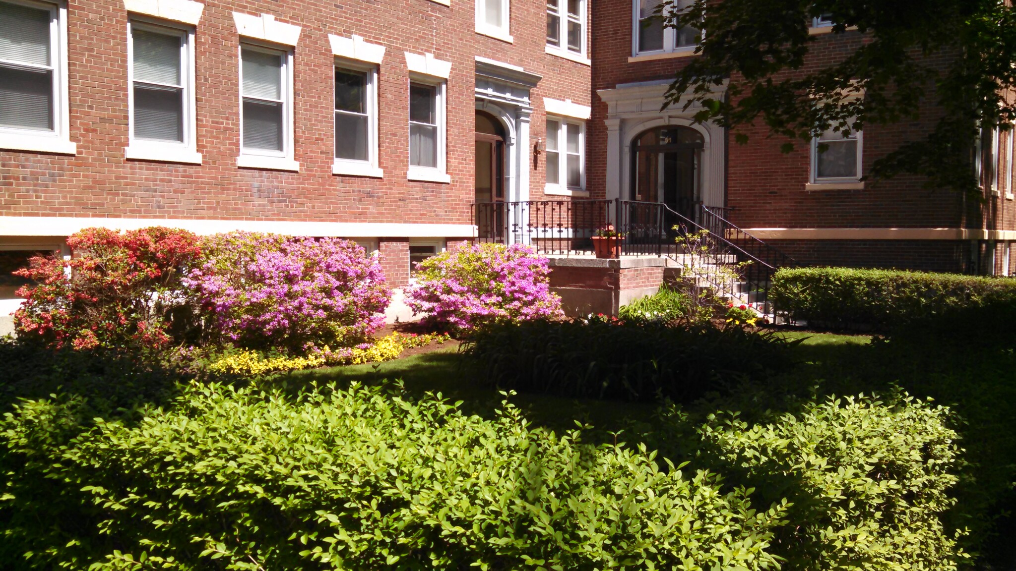 53 Manchester Rd, North Brookline