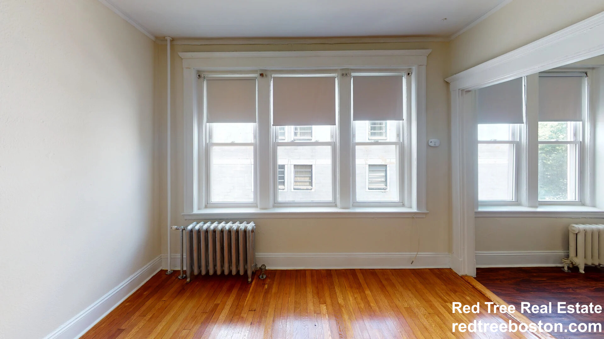 1163 Boylston St, Fenway