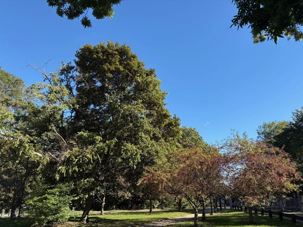 22 Branchfield St, Dorchester