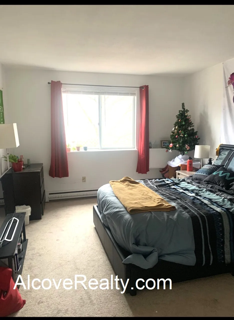 41 Belmont St, Spring Hill