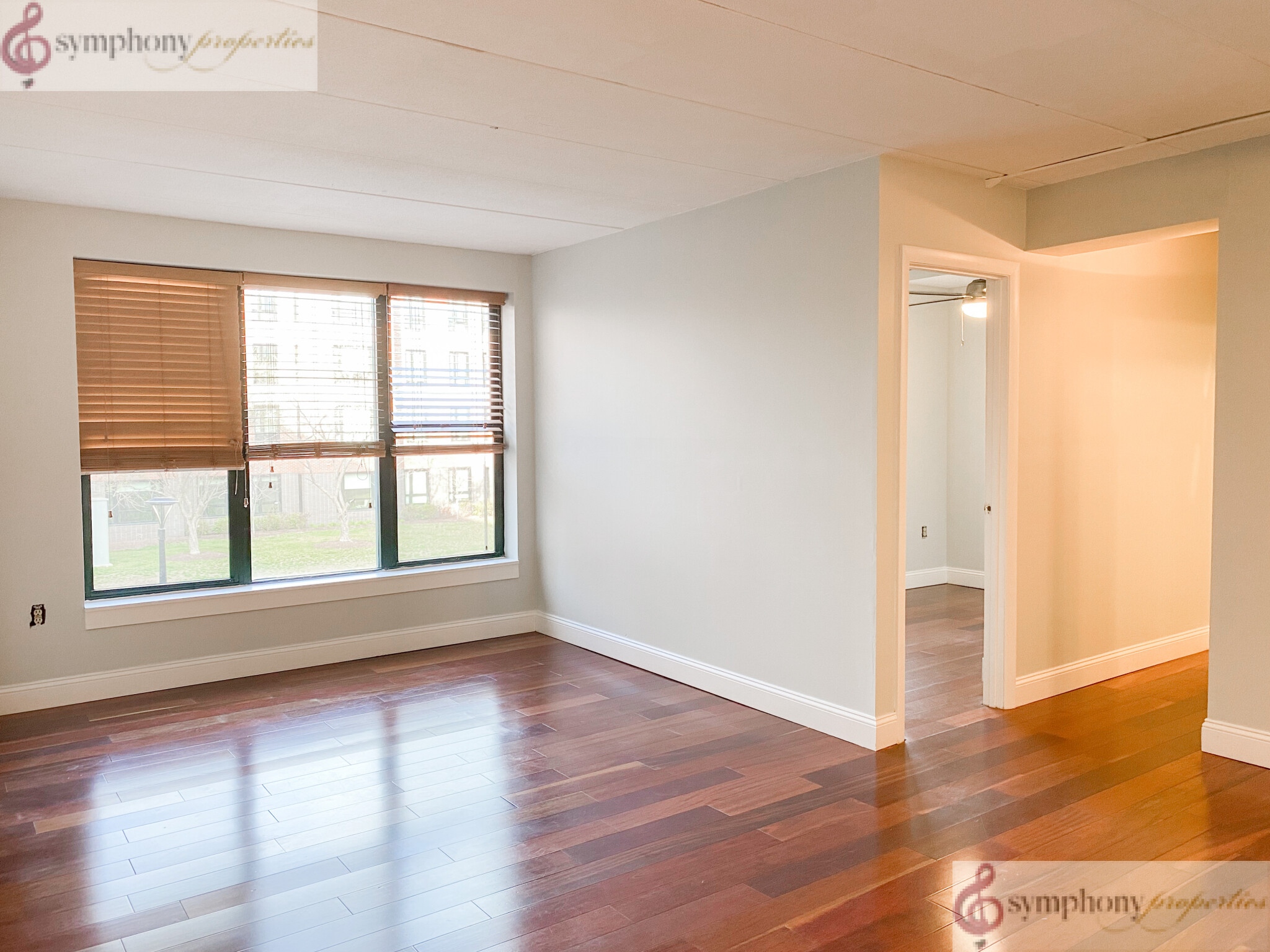 3 bed, 2 bath apartment for rent at 3 Douglass Park Unit 221, South End — photo 5 of 17