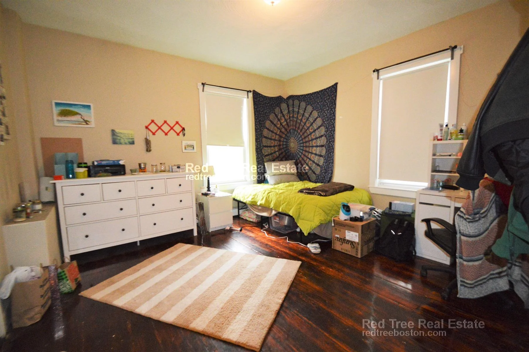 72 Hillside St, Mission Hill