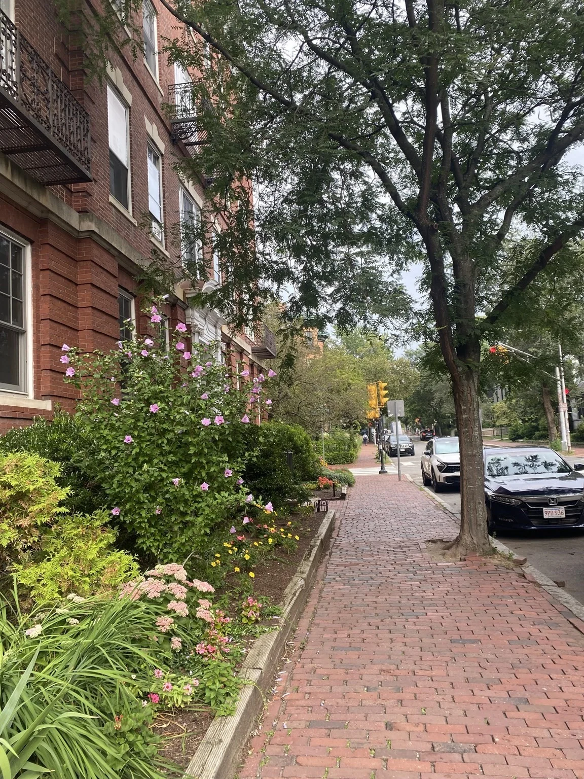 315 Harvard St, Mid-Cambridge