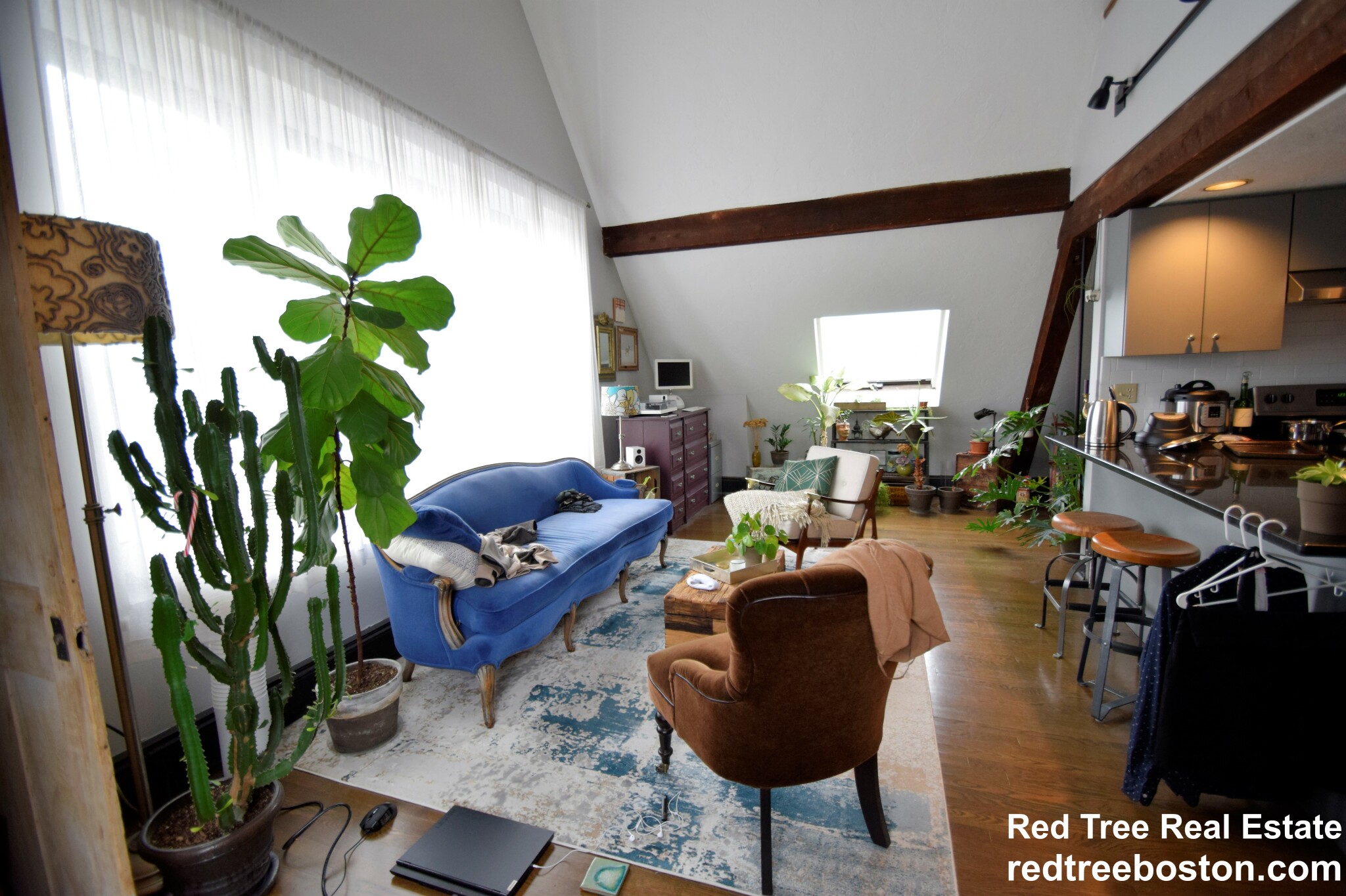 444 Western Ave, Brighton