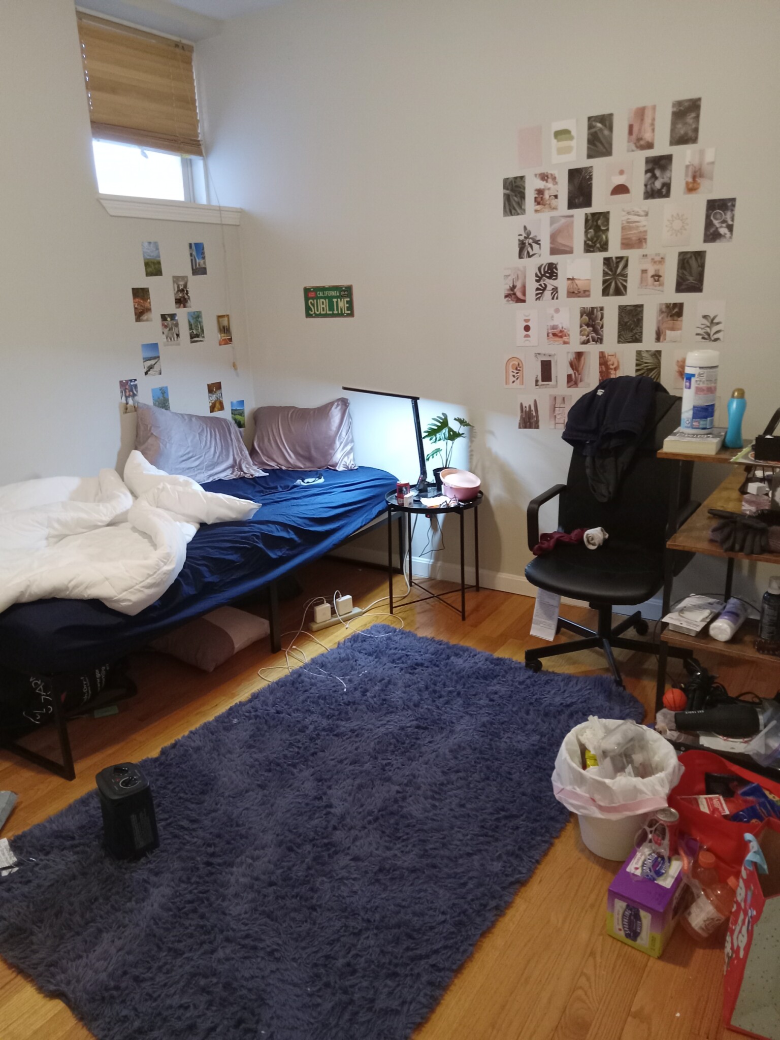 1185 Commonwealth Ave, Allston