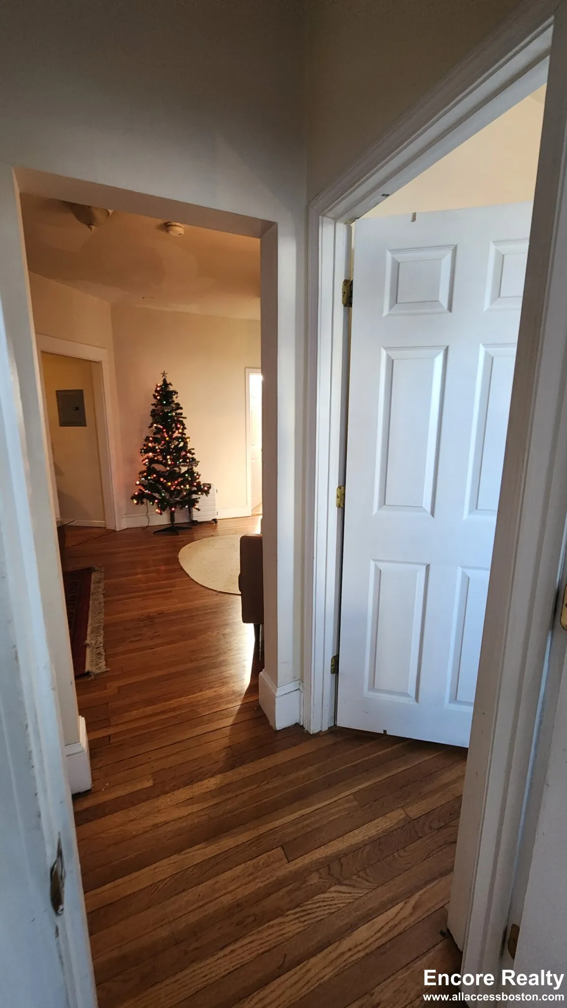 66 Egmont St, North Brookline