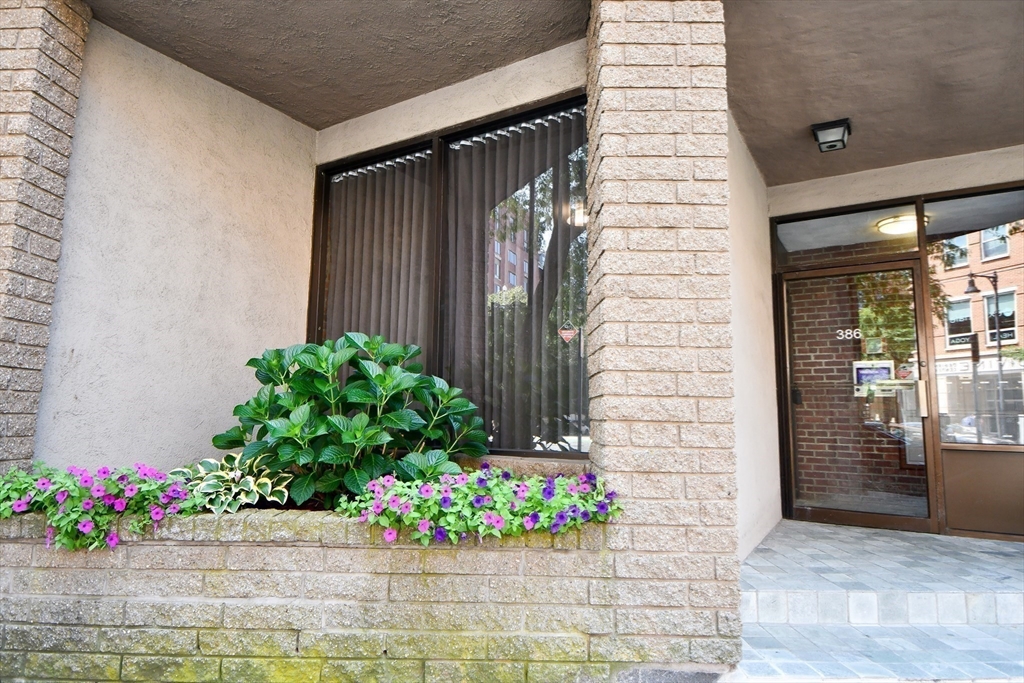 386 Commercial, North End