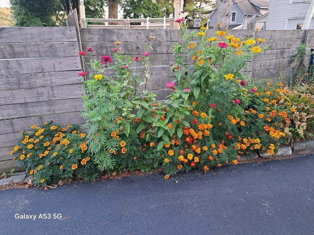 40 Ames St, Rice Square