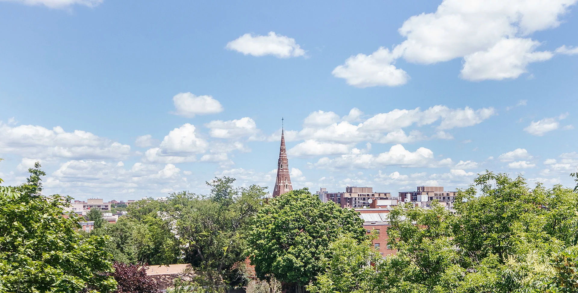 31 Harris St, Coolidge Corner