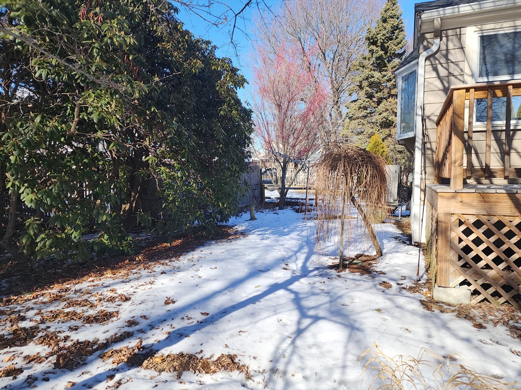 23 Brewster, Weymouth