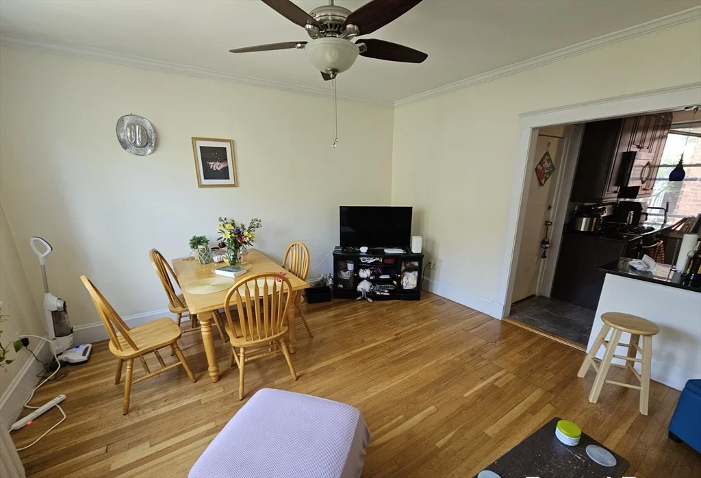 229 Freeman St, Coolidge Corner
