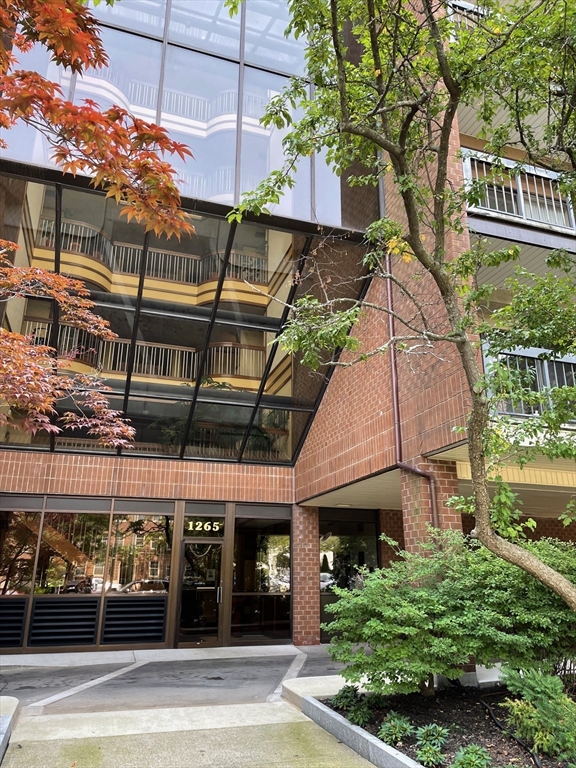 1265 Beacon St, Coolidge Corner