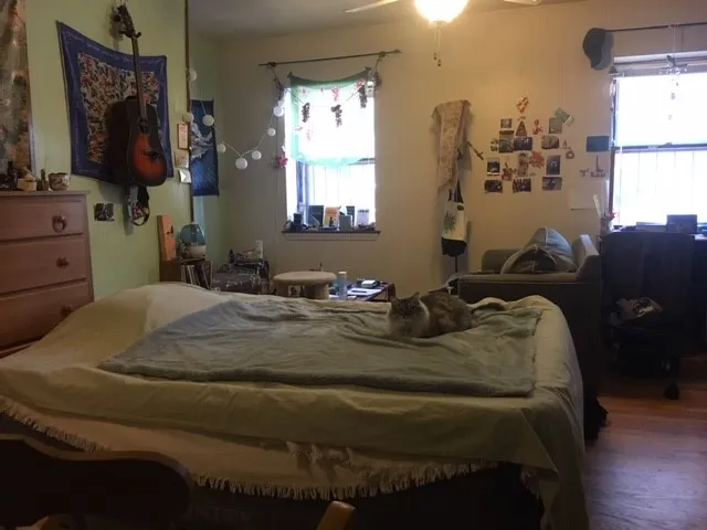 471 Massachusetts Ave, Roxbury