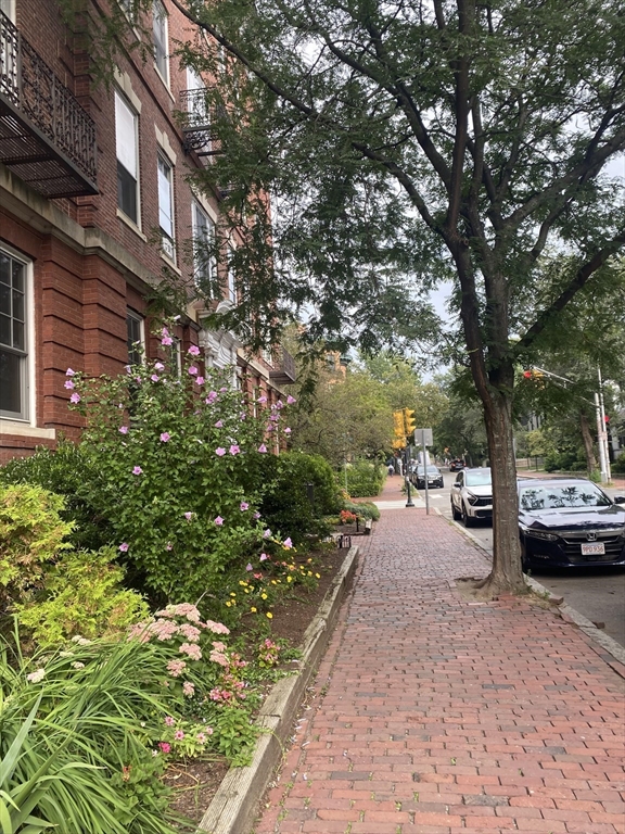 315 Harvard St, Mid-Cambridge