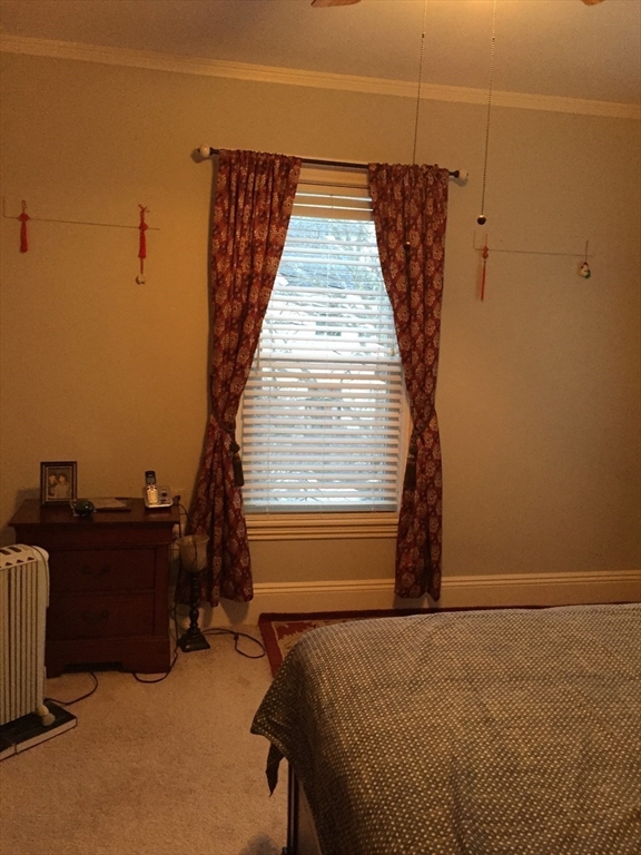 31 Nelson St, North Grafton