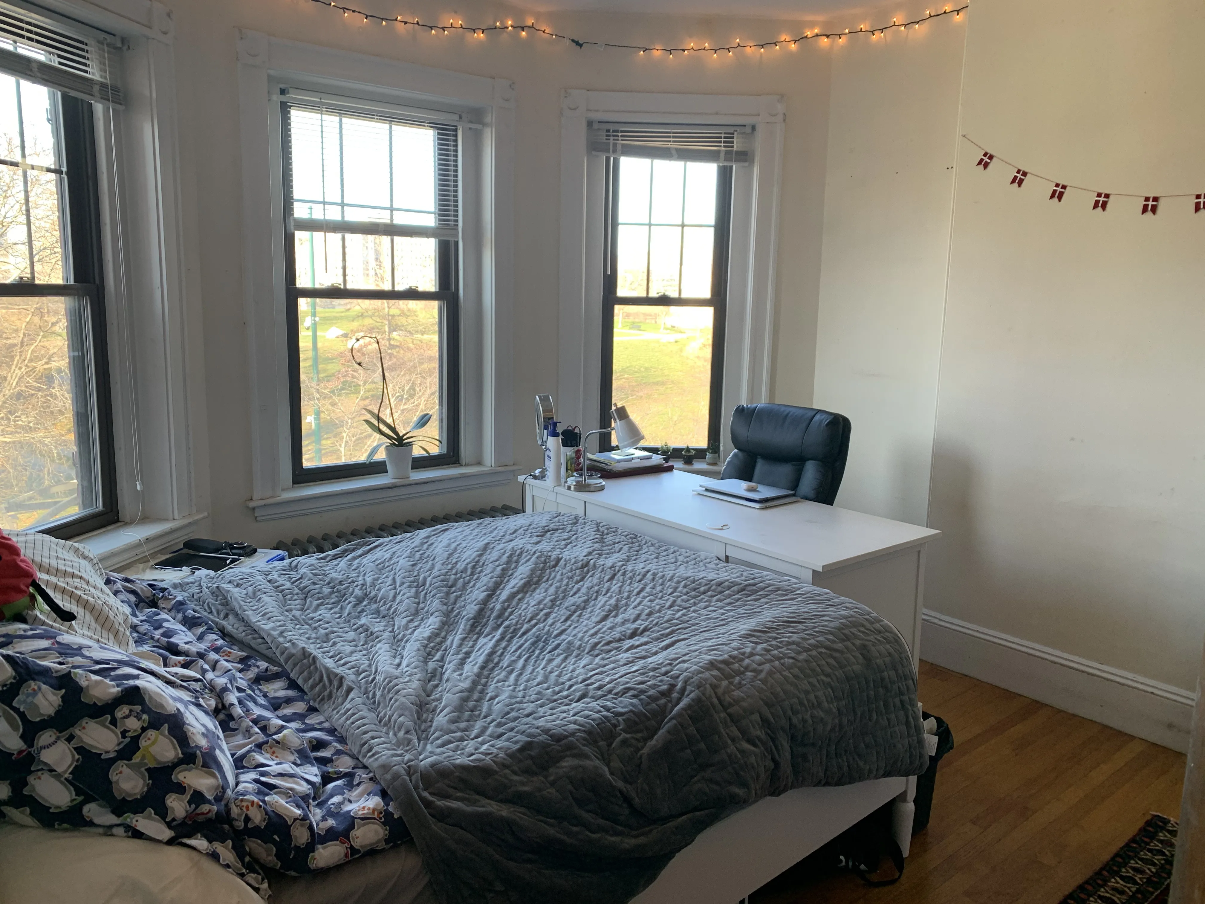 174 Saint Alphonsus St, Mission Hill