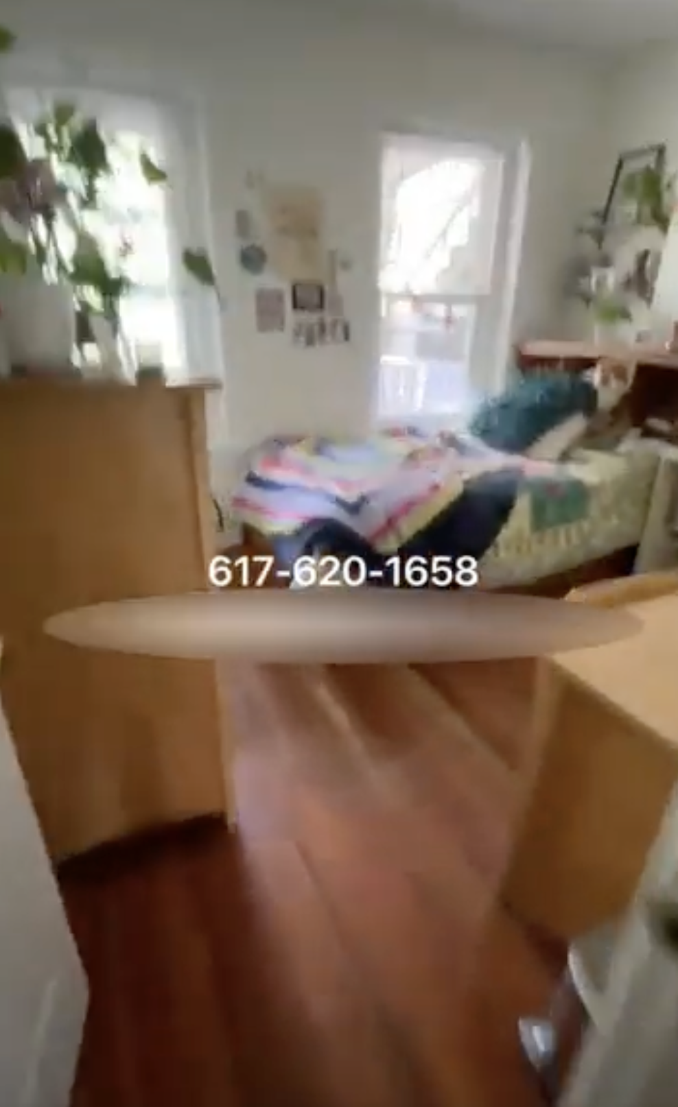 81 Brighton Ave, Allston