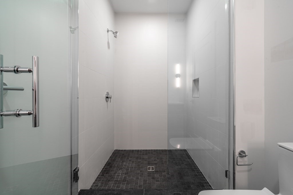 97 Elmwood, North Cambridge