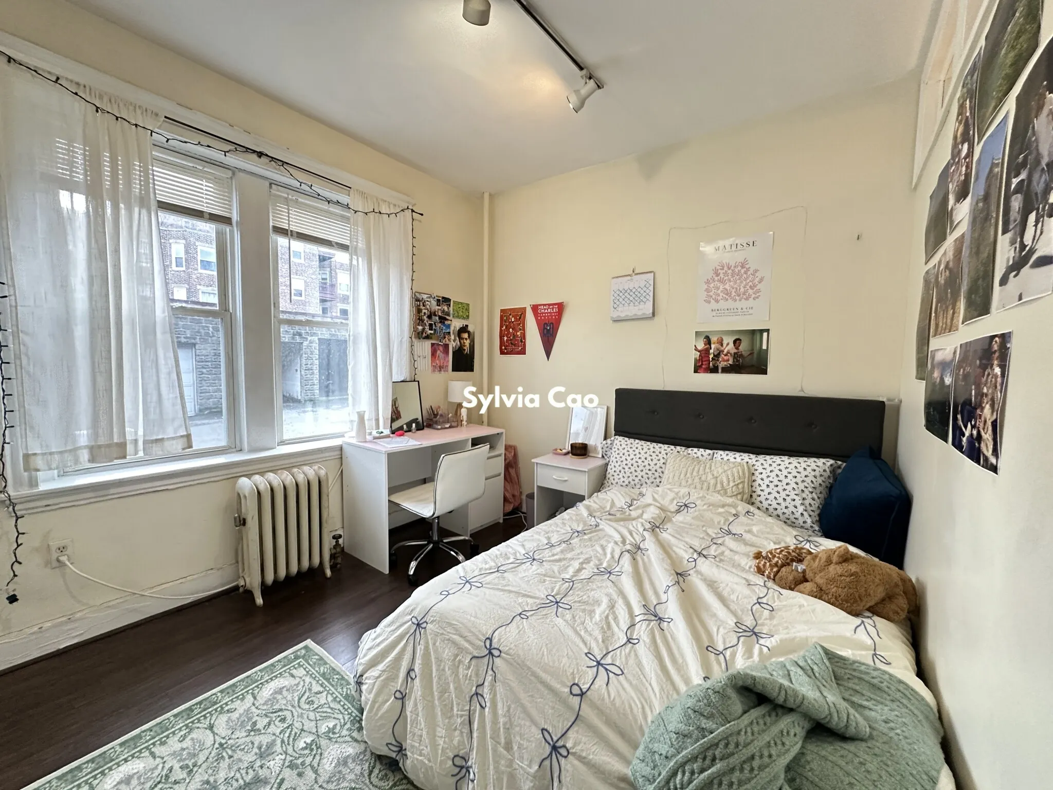 62 Egmont St, North Brookline