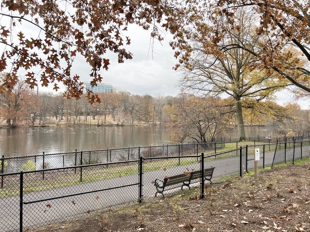 44 Washington St, Brookline Village