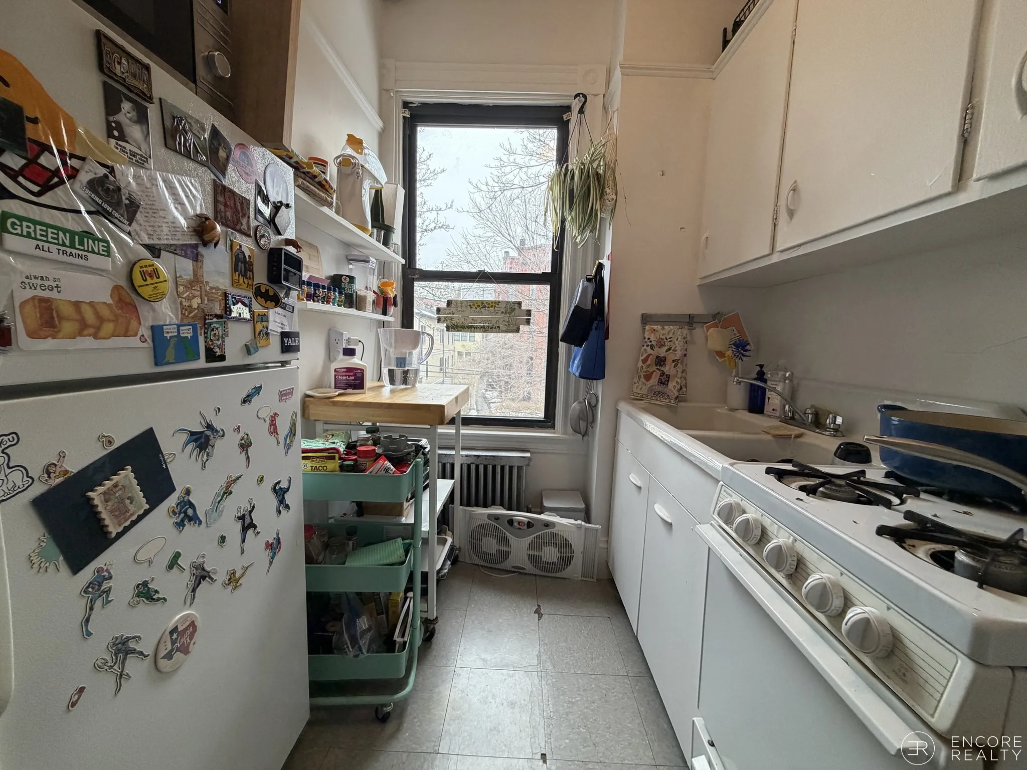 16 Davis Ave, Emerson Gardens