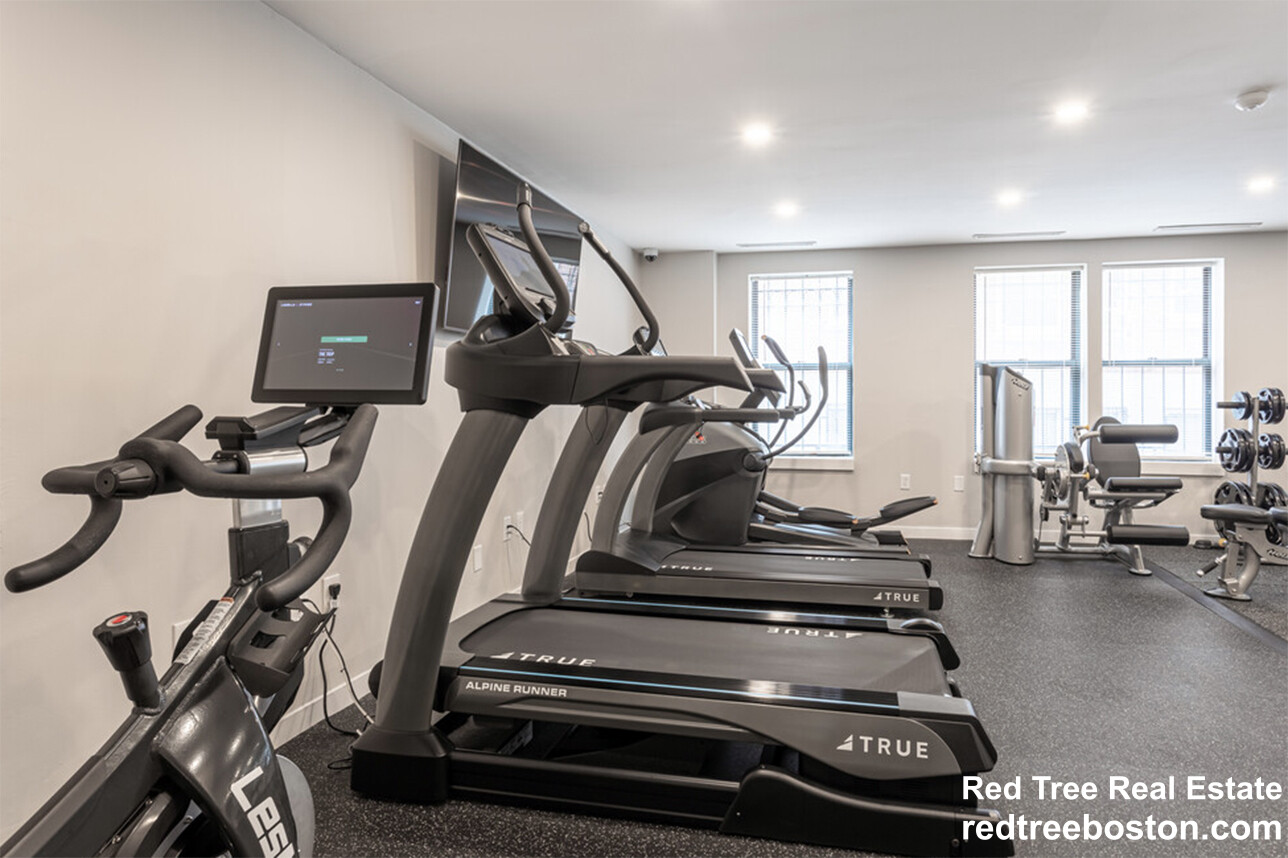 100 Jersey St, Fenway