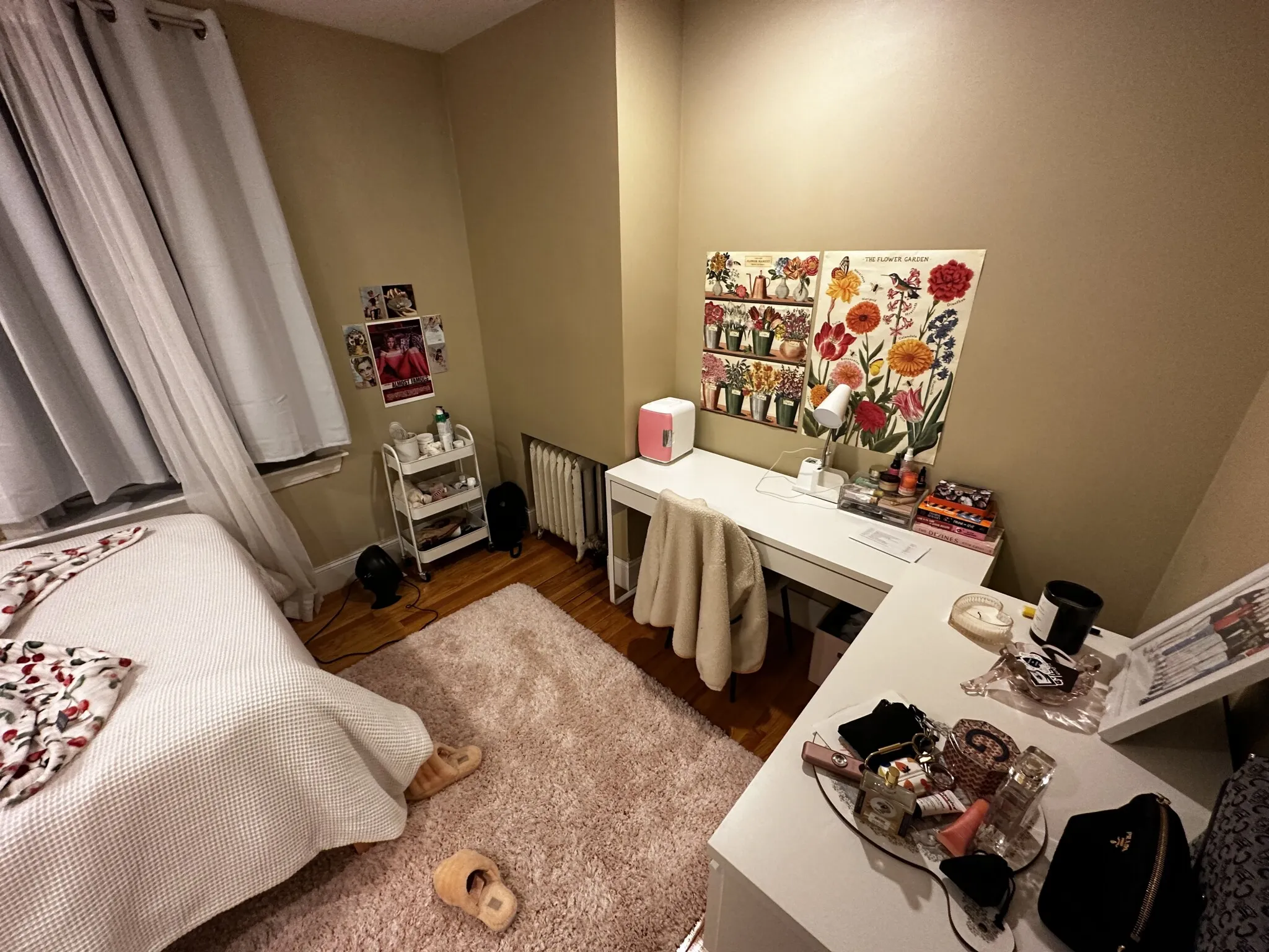 60 Egmont St, North Brookline