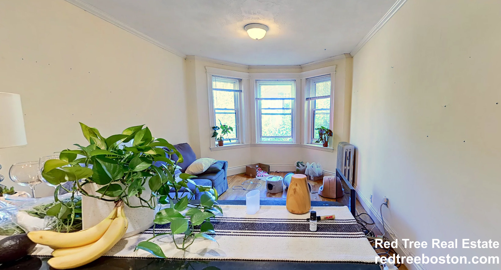 100 Queensberry St, Fenway